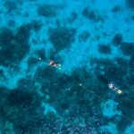 lady elliot island snorkel safety line