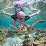 snorkelling in the lagoon