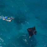 lady elliot island