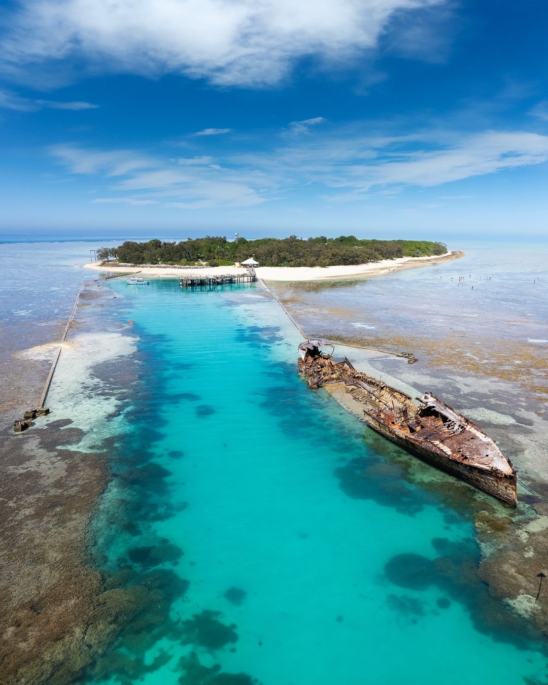 heron island 11