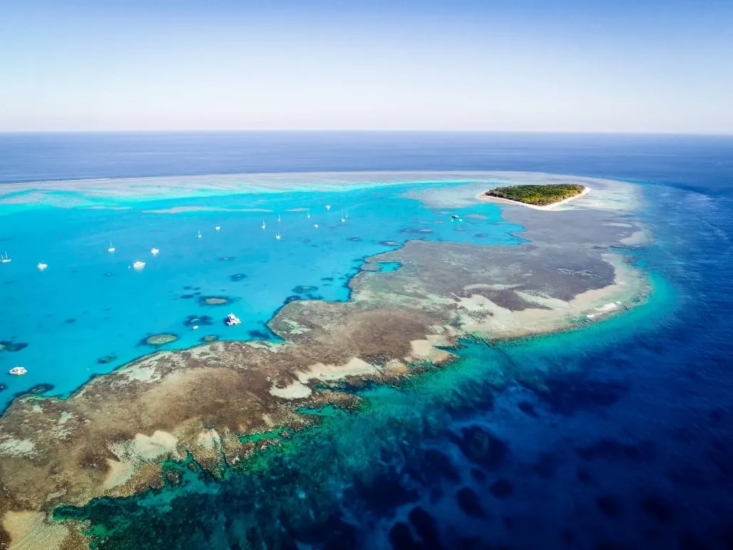 lady musgrave island great barrier reef 2