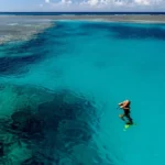 lady musgrave island great barrier reef 7