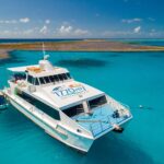 1770 reef 1 hero image