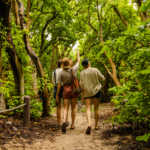 1770 reef guided island walk forest (1)