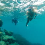 1770 reef underwater snorkel