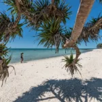 lady musgrave island great barrier reef 10
