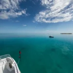 lady musgrave island great barrier reef 13