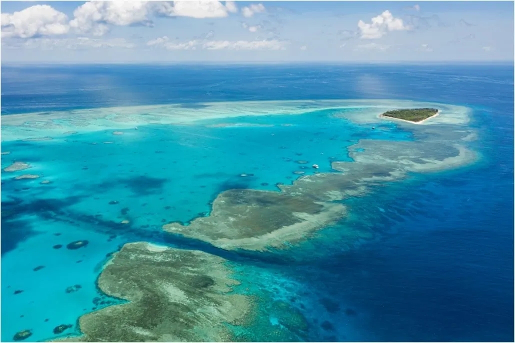 lady musgrave island great barrier reef 15