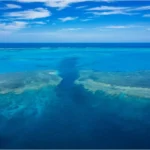 lady musgrave island great barrier reef 16