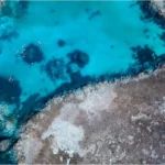 lady musgrave island great barrier reef 17