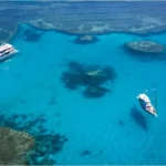 lady musgrave island great barrier reef 4