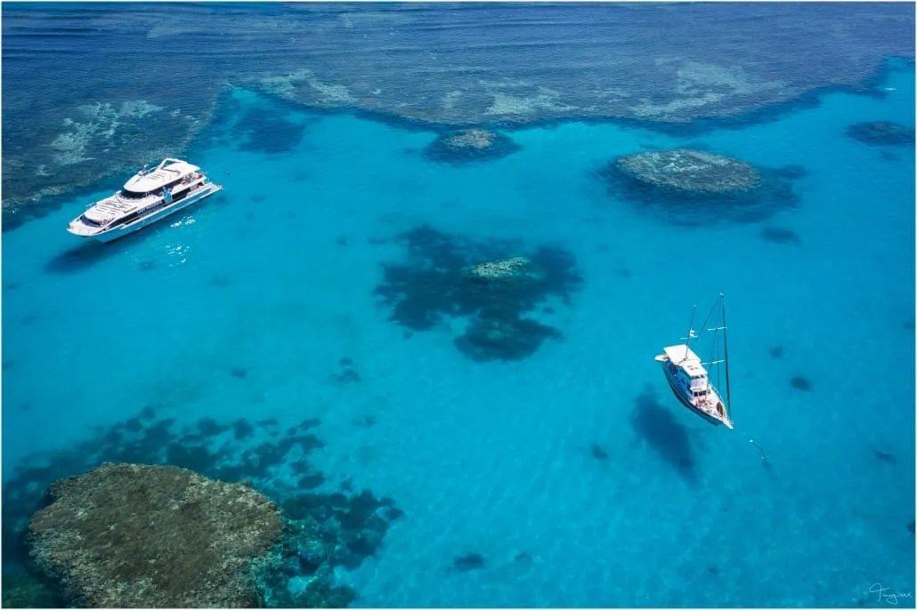 lady musgrave island great barrier reef 4