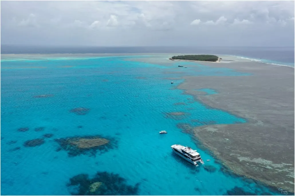 lady musgrave island great barrier reef 5
