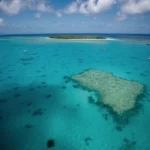 lady musgrave island great barrier reef 6